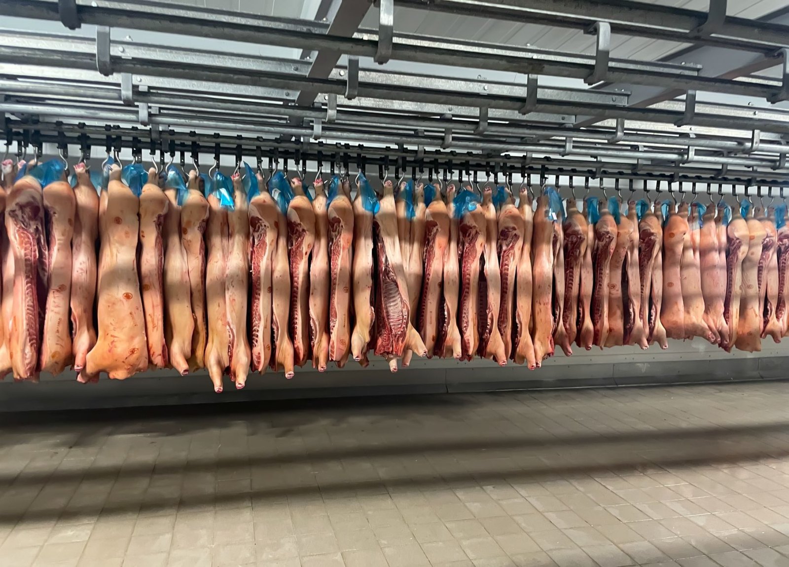 Свежие отрубы мяса на прилавке лавки Олега